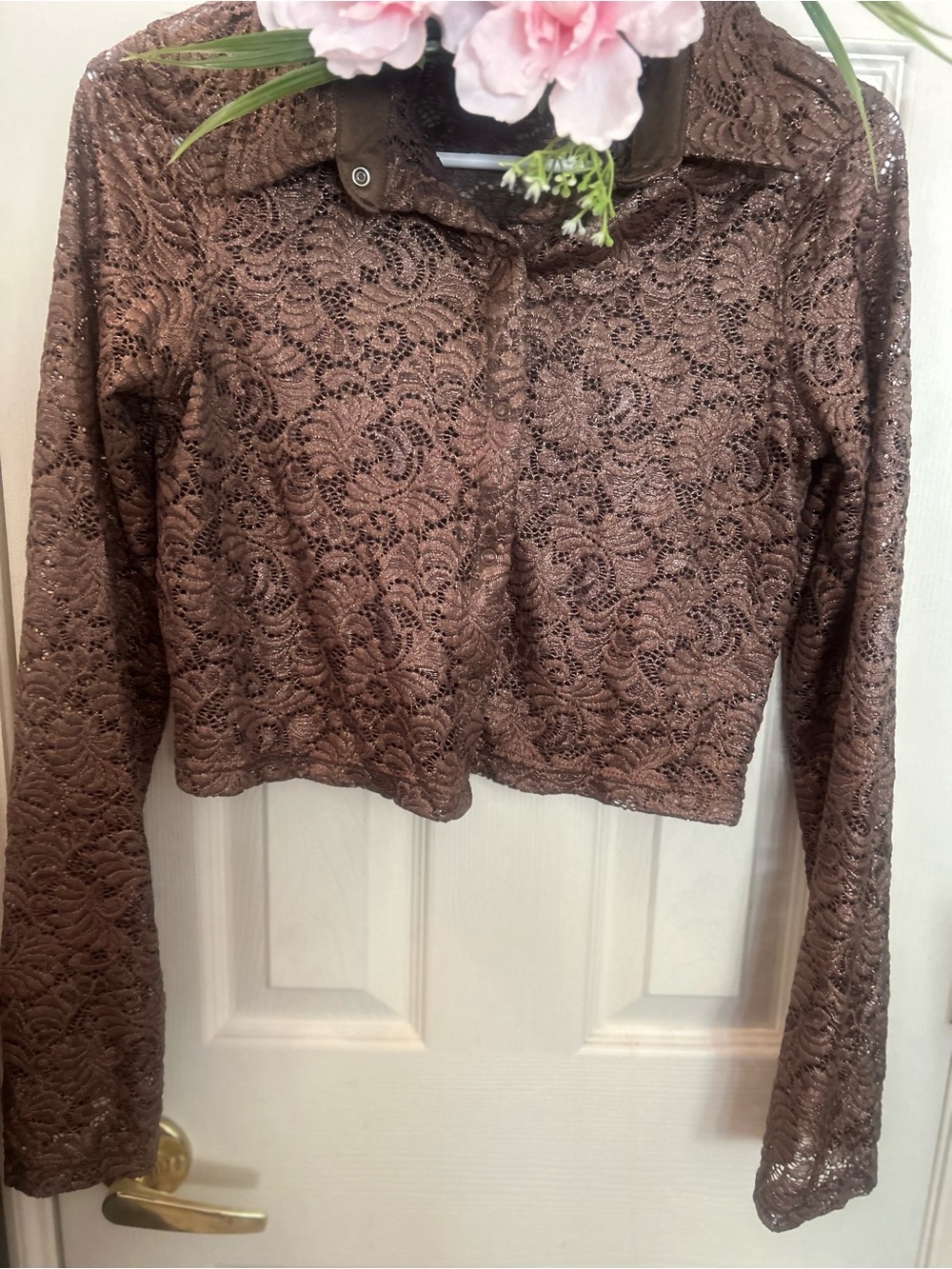 Weissman Brown Lace Cropped Long-Sleeve Top.